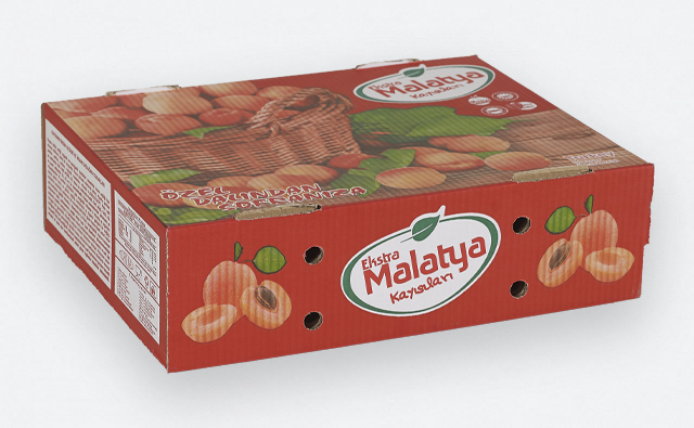 kutu_cesitleri_06082025_1658